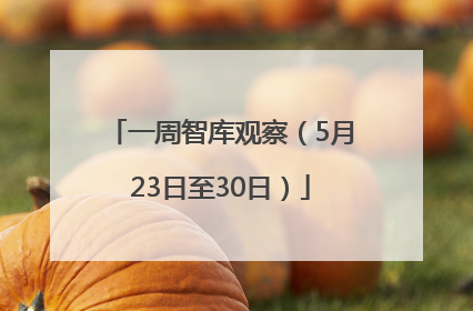 一周智库观察（5月23日至30日）
