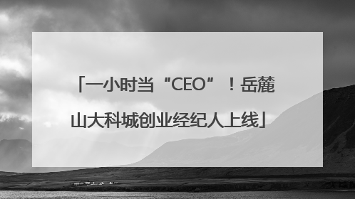 一小时当“CEO”！岳麓山大科城创业经纪人上线