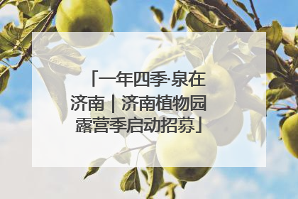 一年四季·泉在济南｜济南植物园露营季启动招募