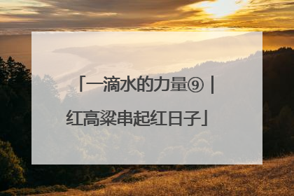 一滴水的力量⑨｜红高粱串起红日子
