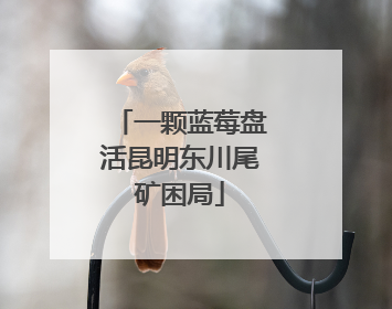 一颗蓝莓盘活昆明东川尾矿困局