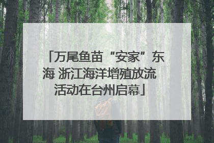 万尾鱼苗“安家”东海 浙江海洋增殖放流活动在台州启幕