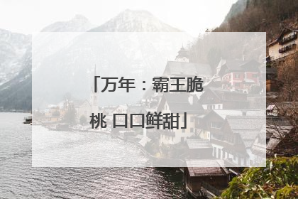 万年：霸王脆桃 口口鲜甜