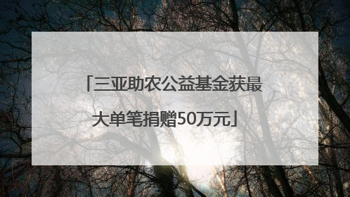 三亚助农公益基金获最大单笔捐赠50万元