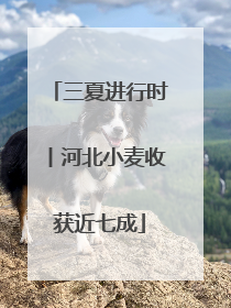 三夏进行时丨河北小麦收获近七成