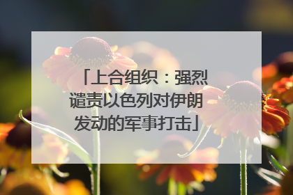上合组织：强烈谴责以色列对伊朗发动的军事打击