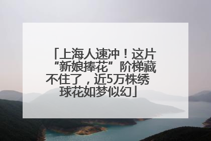 上海人速冲！这片“新娘捧花”阶梯藏不住了，近5万株绣球花如梦似幻