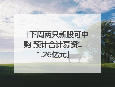 下周两只新股可申购 预计合计募资11.26亿元