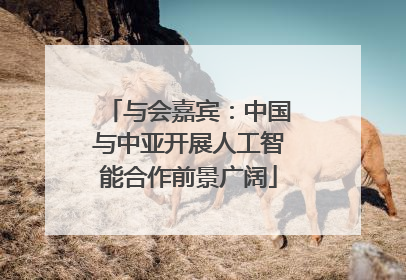 与会嘉宾：中国与中亚开展人工智能合作前景广阔