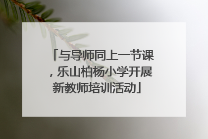 与导师同上一节课，乐山柏杨小学开展新教师培训活动