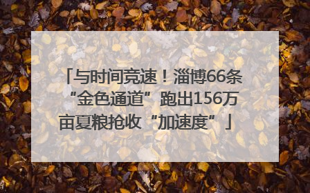 与时间竞速！淄博66条“金色通道”跑出156万亩夏粮抢收“加速度”
