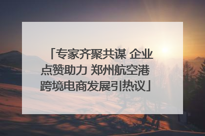专家齐聚共谋 企业点赞助力 郑州航空港跨境电商发展引热议
