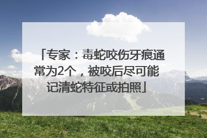 专家：毒蛇咬伤牙痕通常为2个，被咬后尽可能记清蛇特征或拍照
