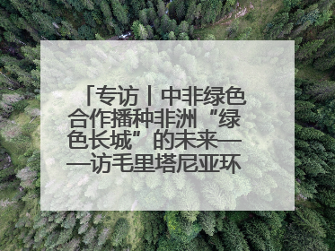 专访丨中非绿色合作播种非洲“绿色长城”的未来——访毛里塔尼亚环境部长拉格达夫