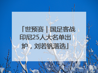 世预赛｜国足客战印尼25人大名单出炉，刘若钒落选