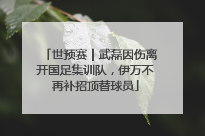 世预赛｜武磊因伤离开国足集训队，伊万不再补招顶替球员