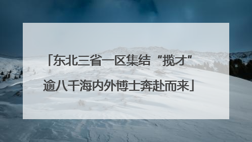 东北三省一区集结“揽才” 逾八千海内外博士奔赴而来