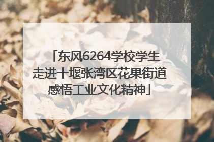 东风6264学校学生走进十堰张湾区花果街道感悟工业文化精神