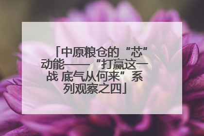 中原粮仓的“芯”动能——“打赢这一战 底气从何来”系列观察之四