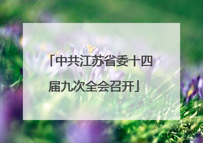中共江苏省委十四届九次全会召开