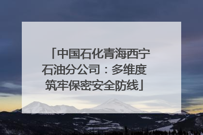 中国石化青海西宁石油分公司：多维度筑牢保密安全防线