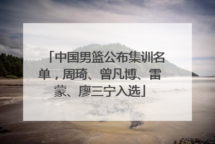 中国男篮公布集训名单，周琦、曾凡博、雷蒙、廖三宁入选