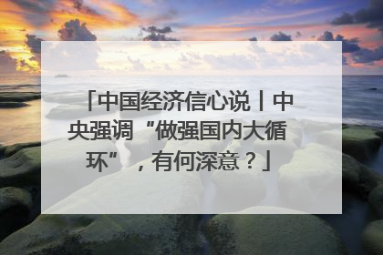 中国经济信心说丨中央强调“做强国内大循环”，有何深意？