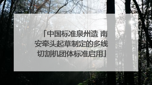中国标准泉州造 南安牵头起草制定的多线切割机团体标准启用