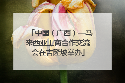 中国（广西）—马来西亚工商合作交流会在吉隆坡举办
