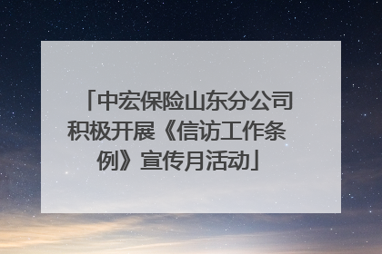 中宏保险山东分公司积极开展《信访工作条例》宣传月活动