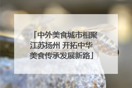 中外美食城市相聚江苏扬州 开拓中华美食传承发展新路