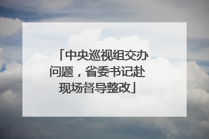 中央巡视组交办问题，省委书记赴现场督导整改