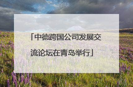 中德跨国公司发展交流论坛在青岛举行