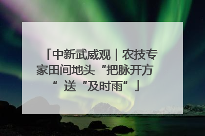 中新武威观｜农技专家田间地头“把脉开方”送“及时雨”