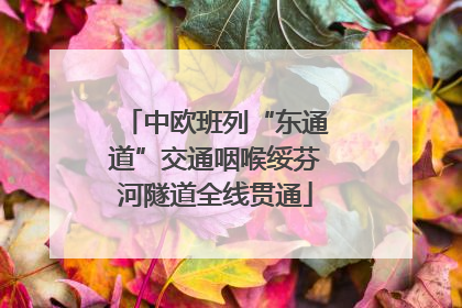 中欧班列“东通道”交通咽喉绥芬河隧道全线贯通
