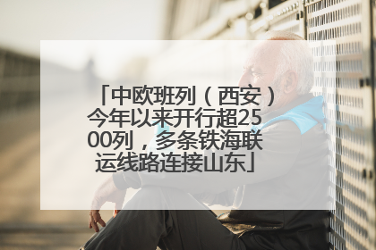 中欧班列（西安）今年以来开行超2500列，多条铁海联运线路连接山东