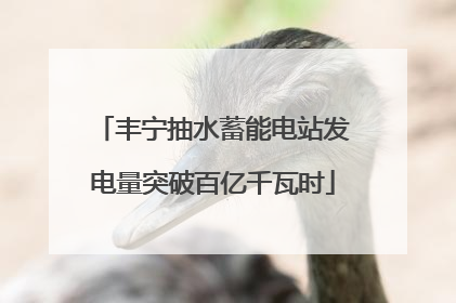 丰宁抽水蓄能电站发电量突破百亿千瓦时