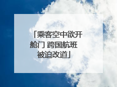 乘客空中欲开舱门 跨国航班被迫改道