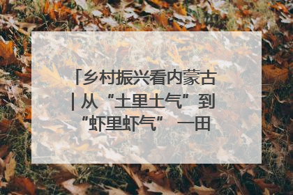 乡村振兴看内蒙古｜从“土里土气”到“虾里虾气” 一田双收模式火出圈