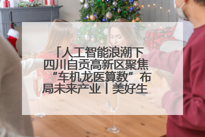人工智能浪潮下 四川自贡高新区聚焦“车机龙医算数”布局未来产业丨美好生活有“盐”味