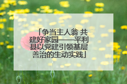 争当主人翁 共建好家园——平利县以党建引领基层善治的生动实践
