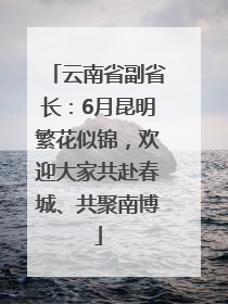 云南省副省长：6月昆明繁花似锦，欢迎大家共赴春城、共聚南博