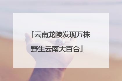云南龙陵发现万株野生云南大百合