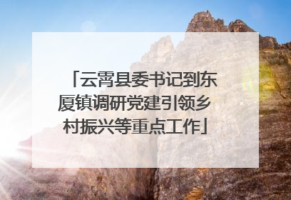 云霄县委书记到东厦镇调研党建引领乡村振兴等重点工作