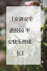 交通安全进校园 平安快乐伴成长