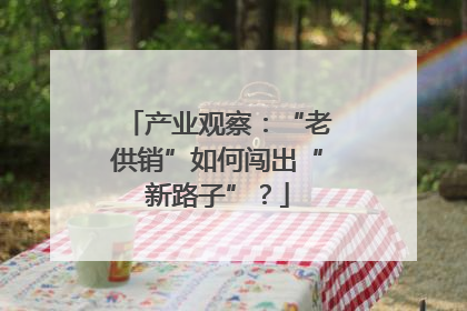 产业观察：“老供销”如何闯出“新路子”？