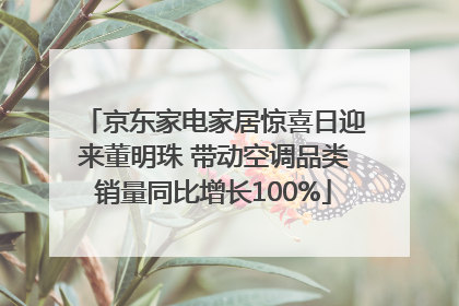 京东家电家居惊喜日迎来董明珠 带动空调品类销量同比增长100%