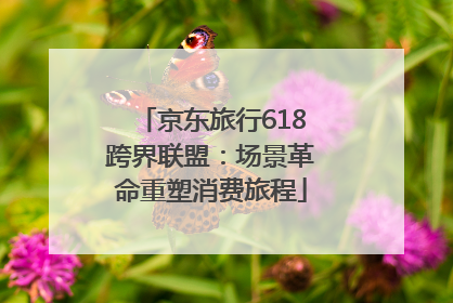 京东旅行618跨界联盟：场景革命重塑消费旅程
