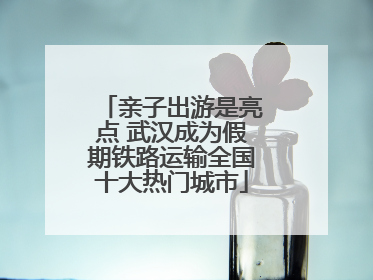 亲子出游是亮点 武汉成为假期铁路运输全国十大热门城市