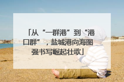 从“一群港”到“港口群”，盐城港向海图强书写崛起壮歌